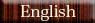  ENGLISH PAGE 